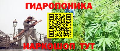 прущий лед Гусев