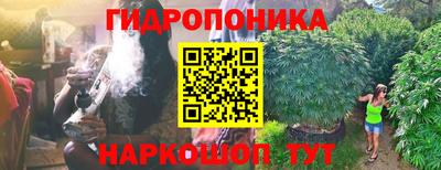 ПСИЛОЦИБИНОВЫЕ ГРИБЫ Гусь-Хрустальный