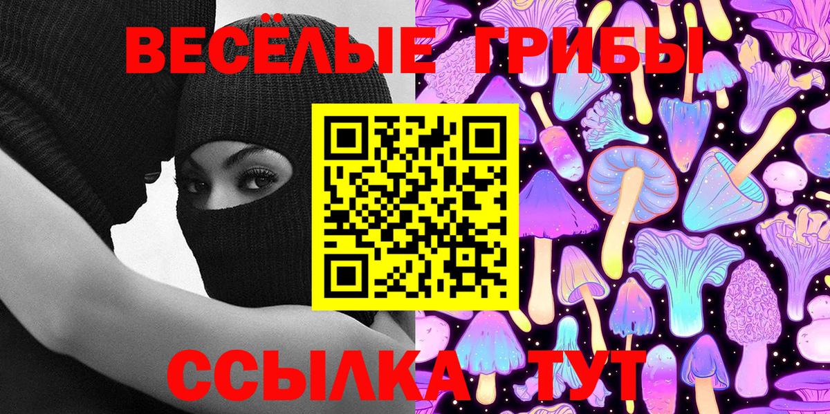 Псилоцибиновые грибы Psilocybe  Вход с VPN  Камышлов 