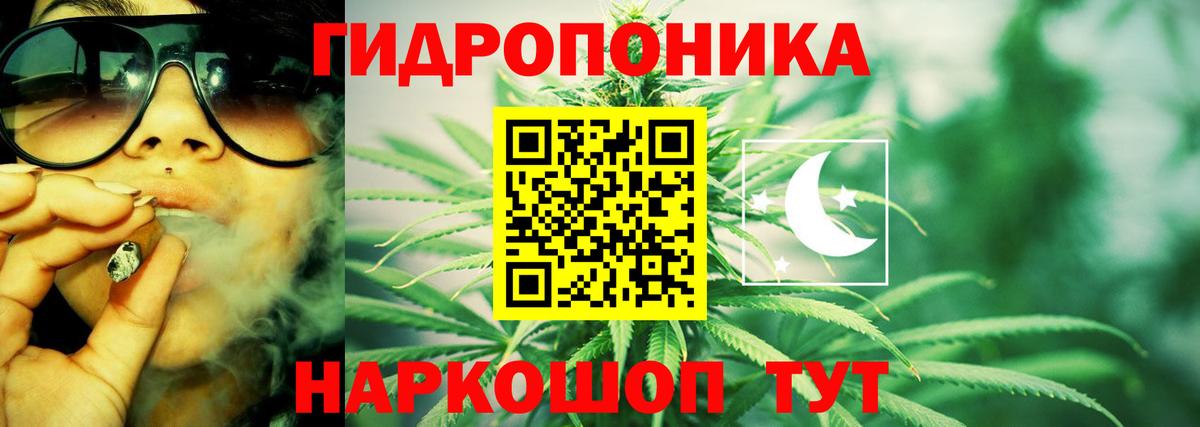 Шишки марихуана сатива Камышлов
